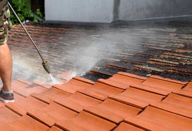 Best Pressure Washing Near Me  in Aledo, IL