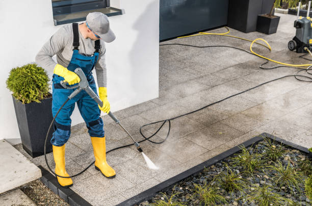 Best House Pressure Washing  in Aledo, IL