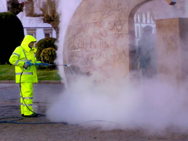 Best Roof Pressure Washing  in Aledo, IL