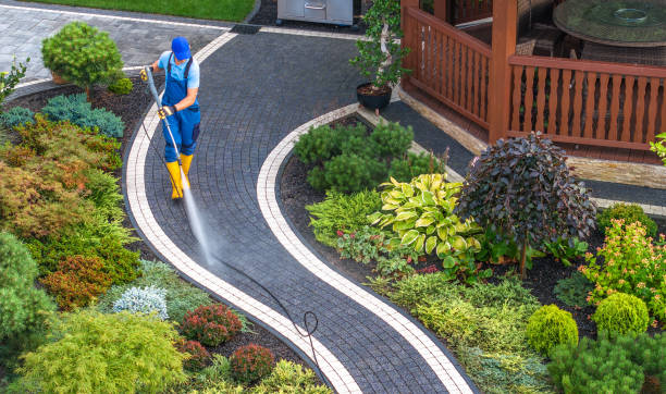 Best Pressure Washing Near Me  in Aledo, IL